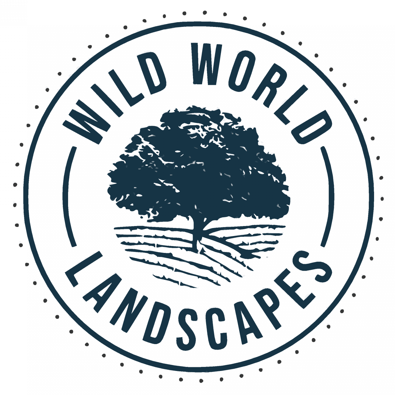 Wild World Landscapes